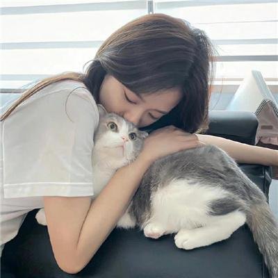 杀手·蝴蝶·梦